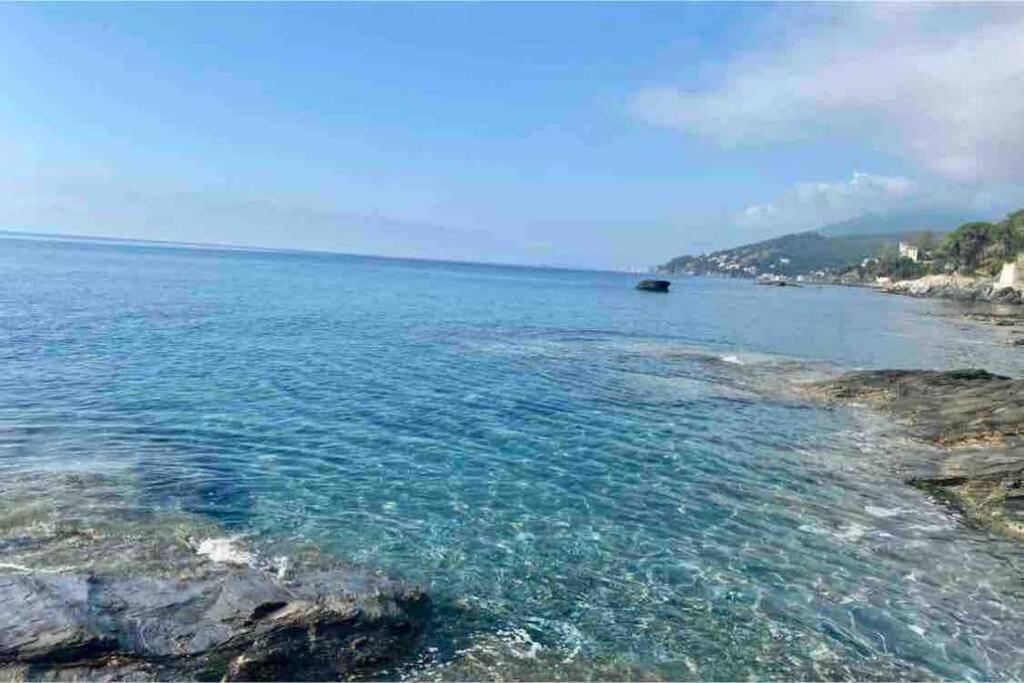 Appartement Vue Mer Avec Parking Gratuit Sur Place Bastia  Ngoại thất bức ảnh